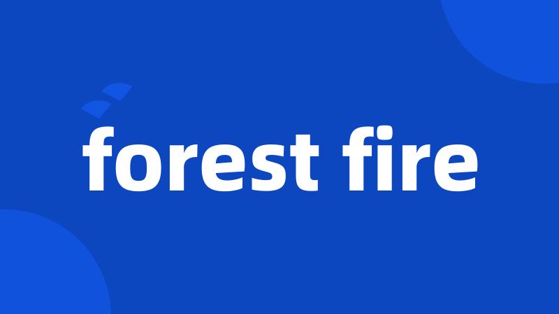 forest fire