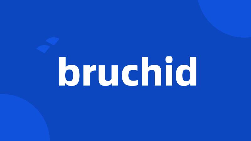 bruchid