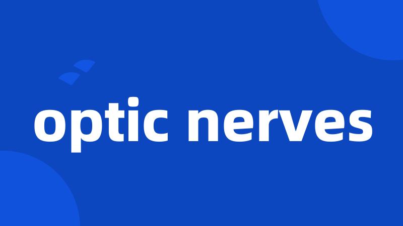 optic nerves