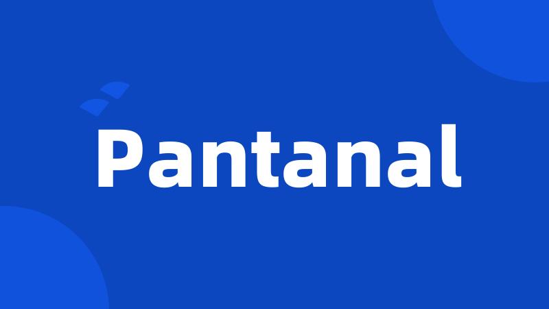 Pantanal