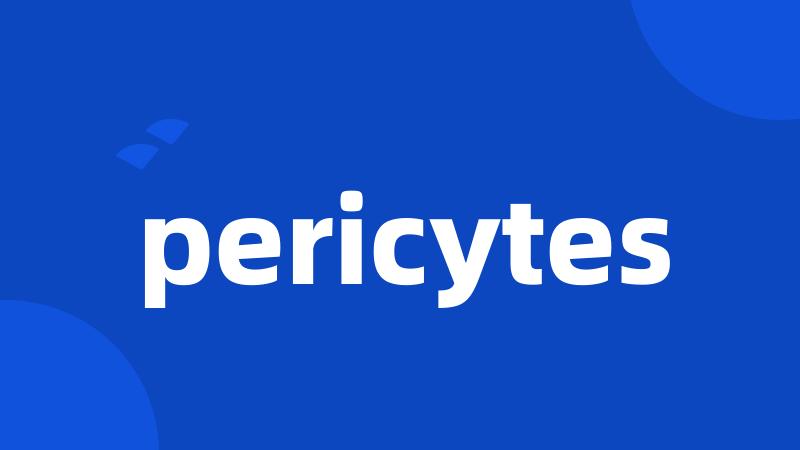 pericytes