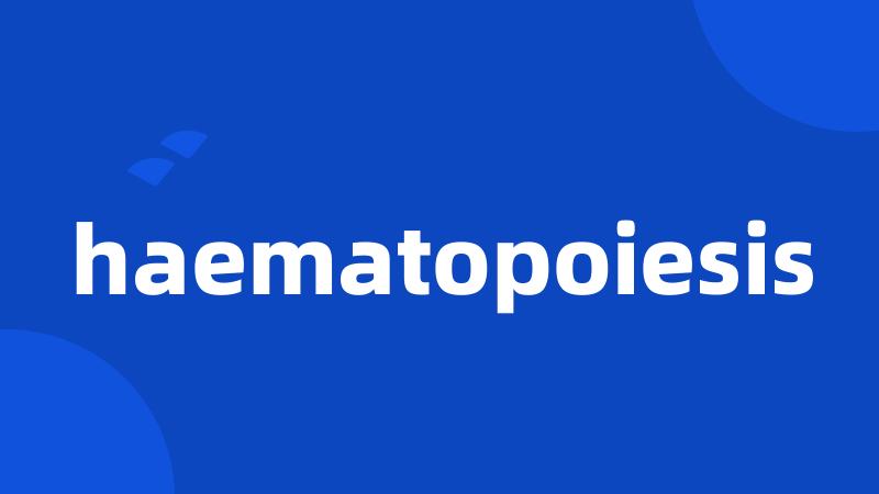 haematopoiesis