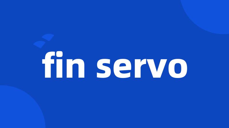 fin servo