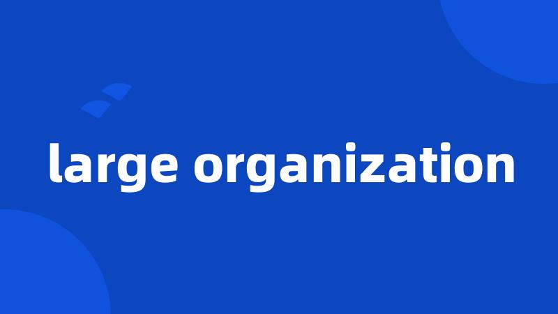 large organization