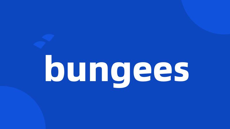 bungees