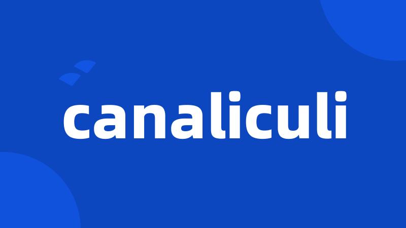 canaliculi