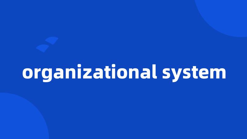 organizational system