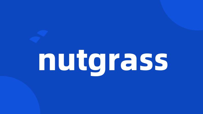 nutgrass