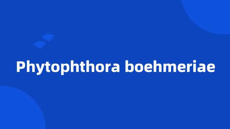 Phytophthora boehmeriae