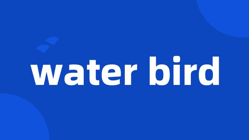 water bird