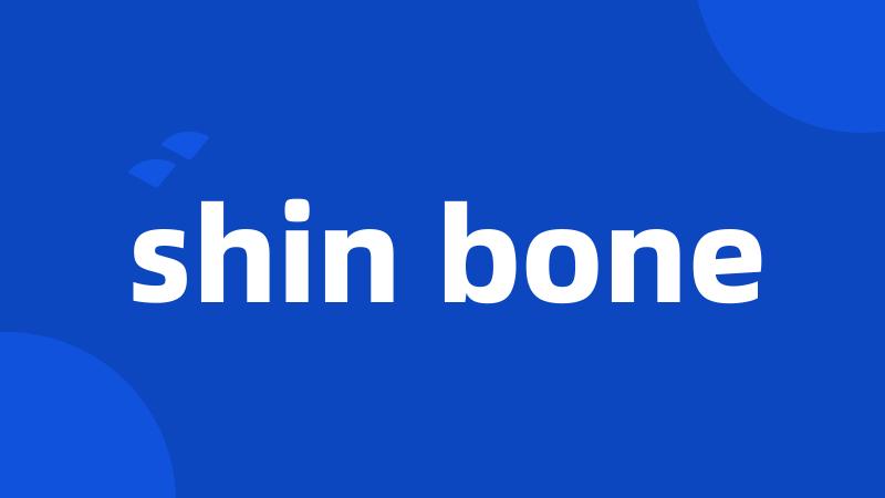 shin bone