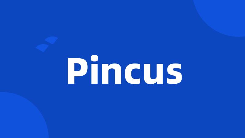 Pincus