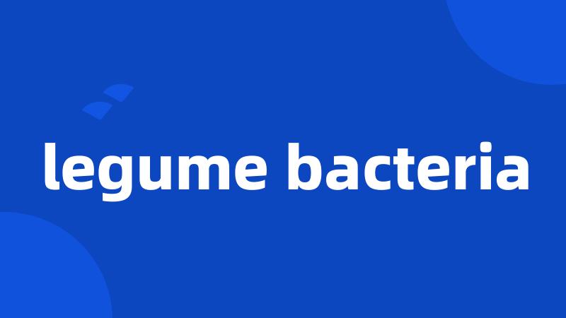 legume bacteria