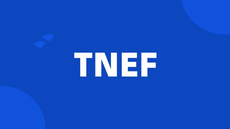 TNEF