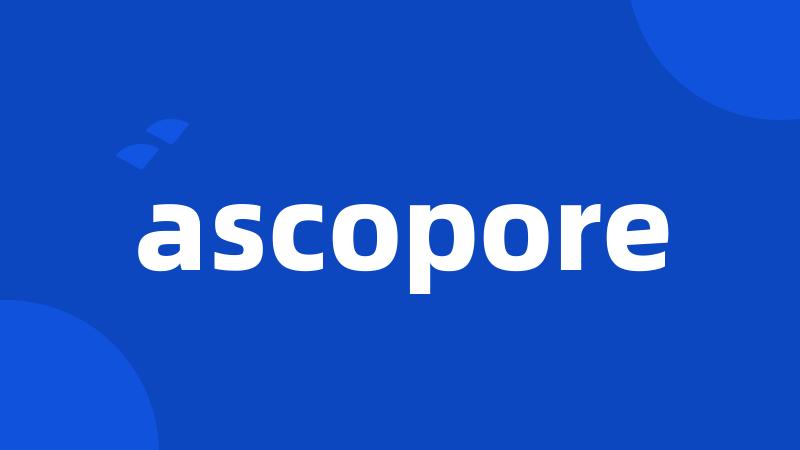 ascopore