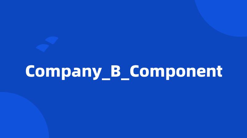 Company_B_Component