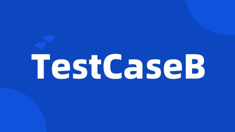 TestCaseB