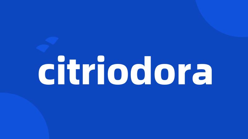 citriodora