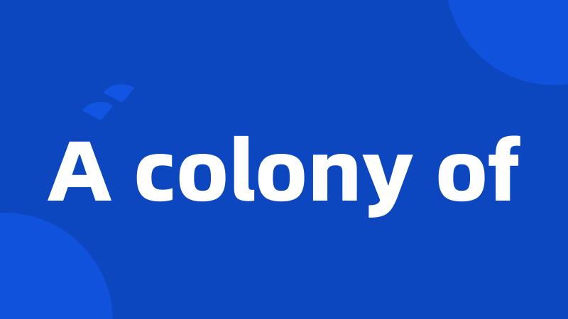 A colony of