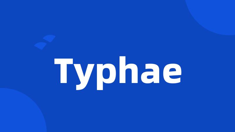 Typhae