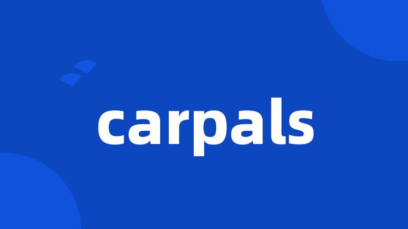 carpals