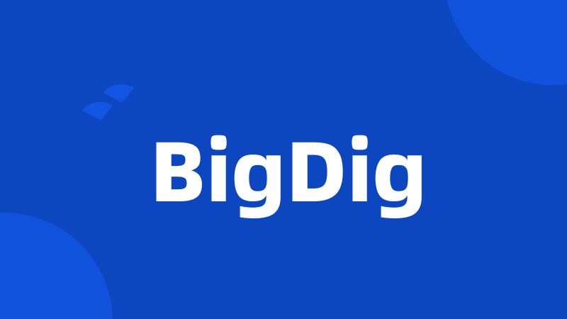 BigDig