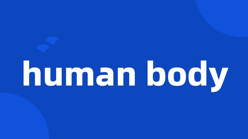 human body