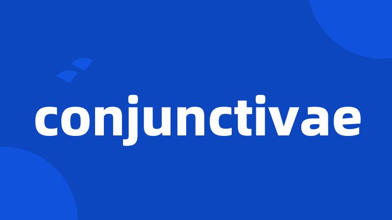 conjunctivae