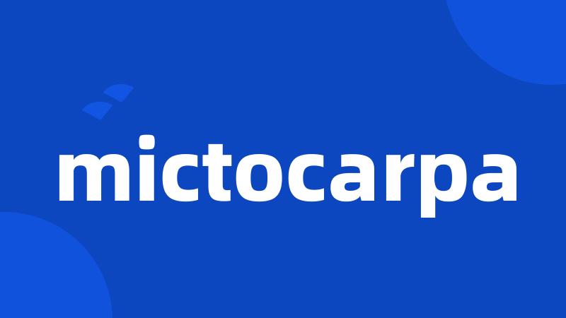 mictocarpa