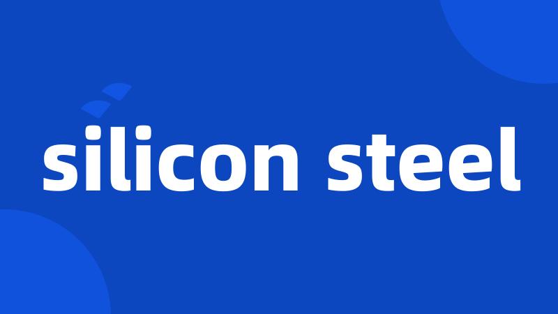 silicon steel