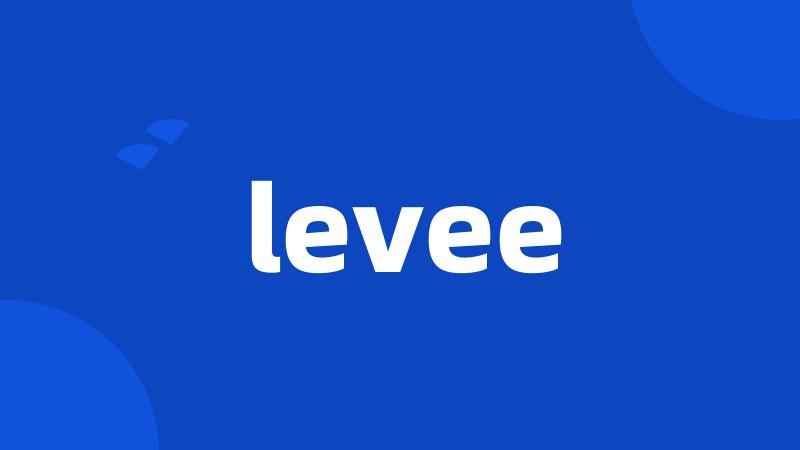 levee