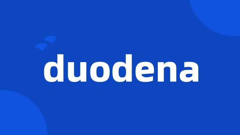 duodena