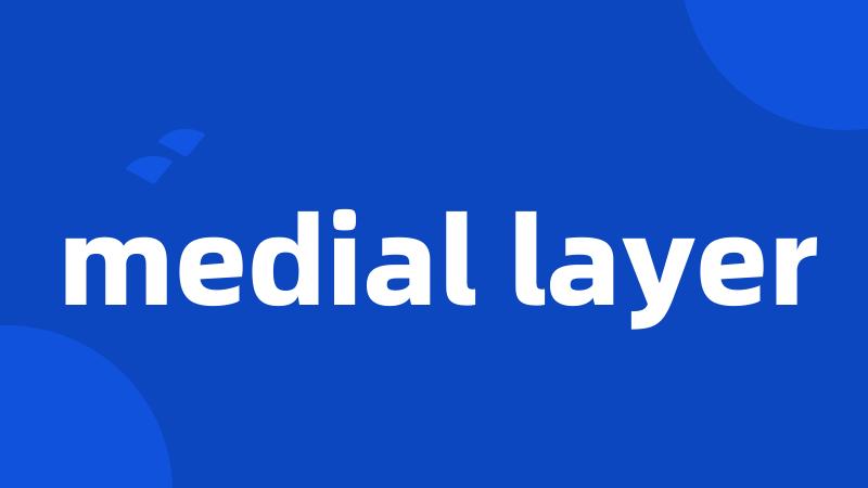 medial layer