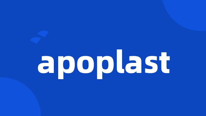 apoplast