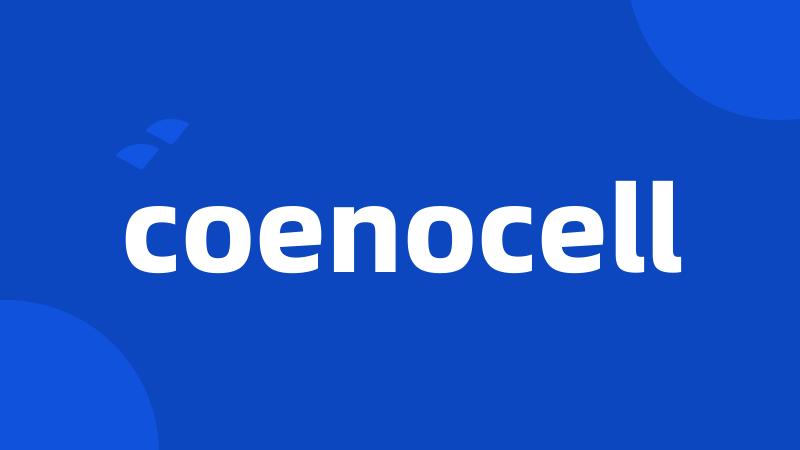 coenocell