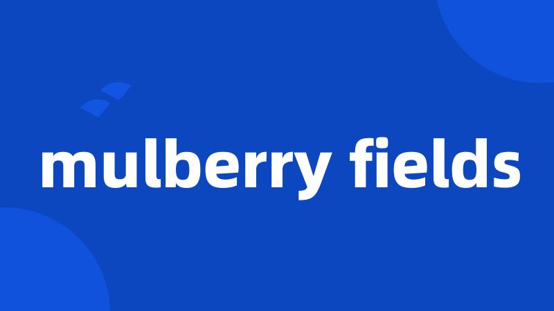 mulberry fields