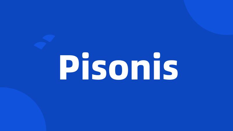 Pisonis