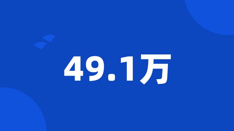 49.1万