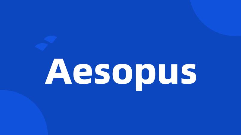 Aesopus