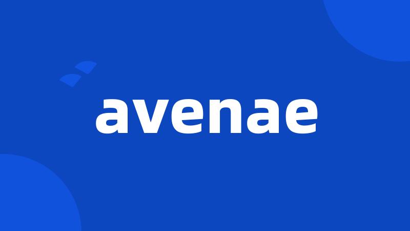 avenae