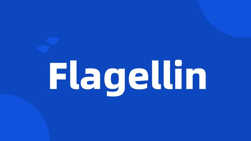 Flagellin