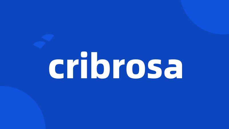 cribrosa