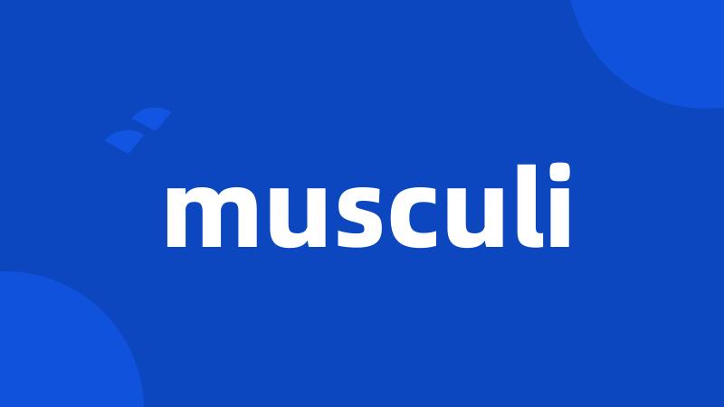 musculi