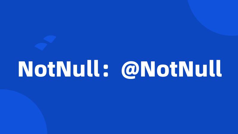 NotNull：@NotNull