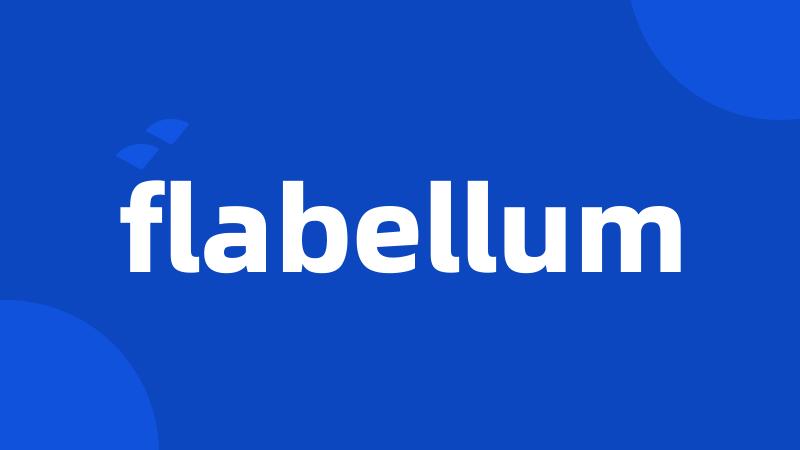 flabellum