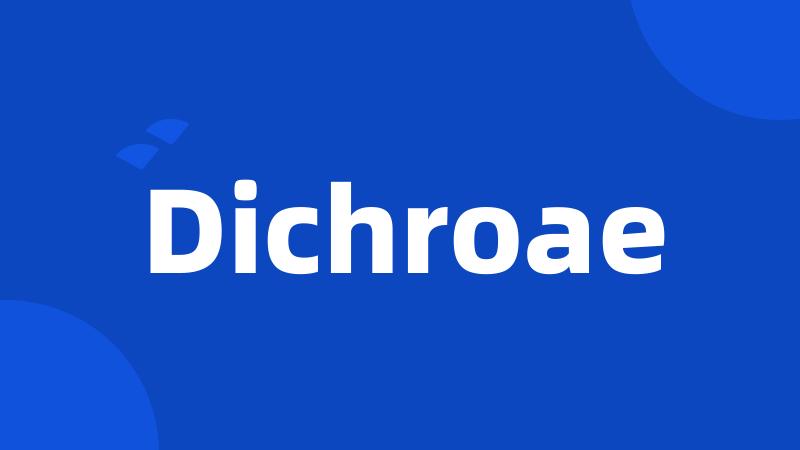 Dichroae