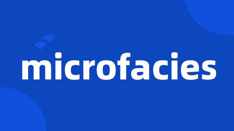 microfacies