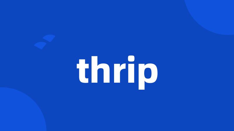 thrip