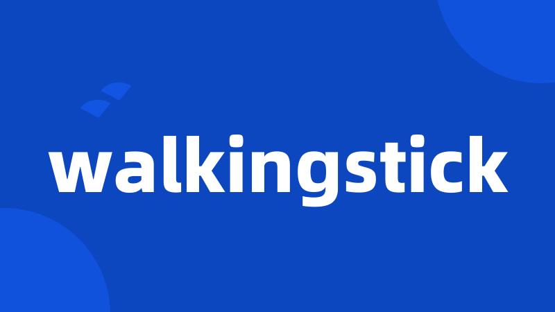 walkingstick