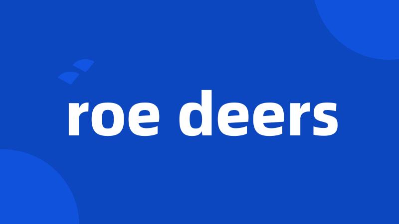 roe deers